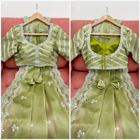Luxuriant Light Green Color Jimmy Chu And Thread With Sequence Work Saree